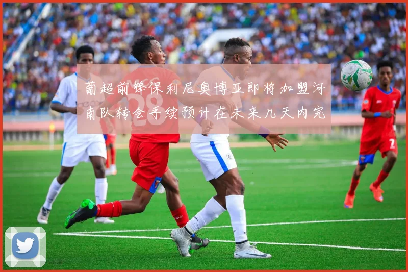 葡超前锋保利尼奥博亚即将加盟河南队转会手续预计在未来几天内完成