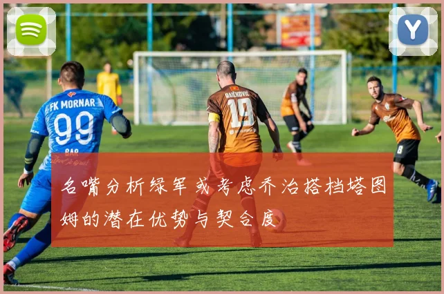 名嘴分析绿军或考虑乔治搭档塔图姆的潜在优势与契合度