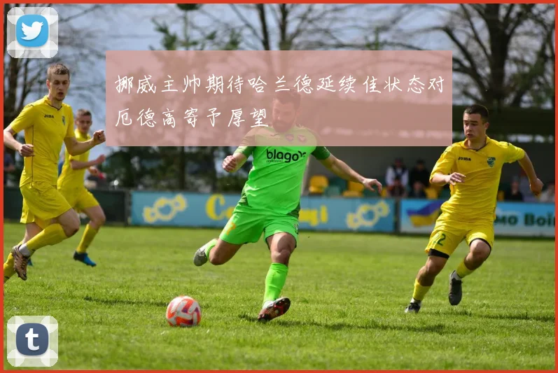 挪威主帅期待哈兰德延续佳状态对厄德高寄予厚望